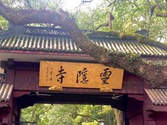 -灵隐飞来峰景区