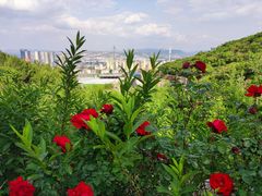 -博山九龙峪风景区