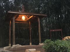 -金孔雀温泉旅游度假村