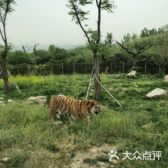 西安秦嶺野生動物園