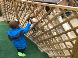 -萌宠亲子动物乐园(槐房万达店)