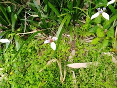 -福建鲤鱼洲酒店