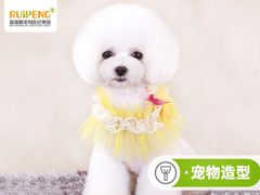 -纳吉亚猫专科动物诊疗中心(蒋宅口分院)