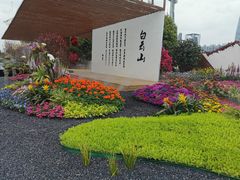 -海心沙亚运公园