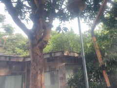 -碧水湾温泉