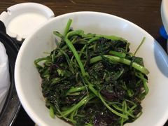 -大鸽饭(马王堆店)