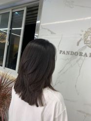 -潘多拉Hairsalon