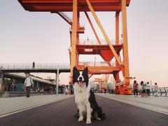 -栖露营camping·天幕烧烤·团建拓展·采摘营地