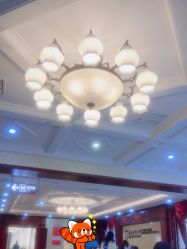 -南京医科大学友谊整形外科医院