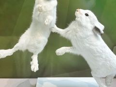 -国家自然博物馆