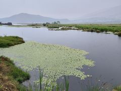 -腾冲北海湿地