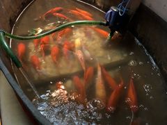 -大郎桥瑞陆糖粥(小太平巷店)