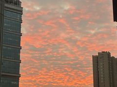 -利苑酒家(合景国际金融广场店)