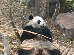 -南宁市动物园