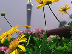 -海心沙亚运公园