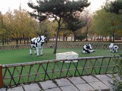 -长春公园(普阳街道)