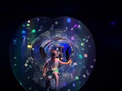 -海合安成都极地海洋公园