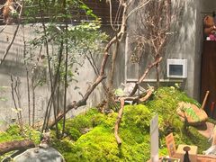 -森SPA·泰式按摩·精油Massage(宝安中心店)