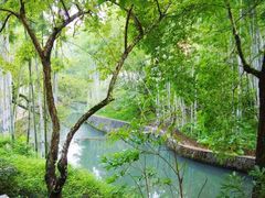 -广东温泉宾馆