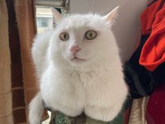 -淮扬楼(文港路店)