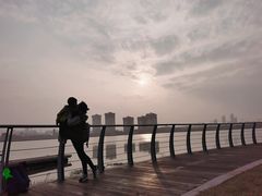 -九龙湖公园