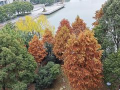 -江南大学(蠡湖校区)