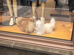 -比斯特上海购物村精品奥特莱斯