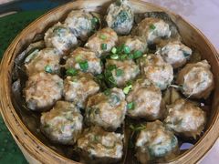 崩蒸手打肉丸-园林美食城·本土农家菜(杨和镇店)