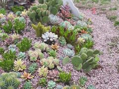 -云里小坐·小院里·团建·宴请·下午茶(三圣乡店)