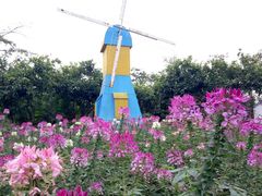 -广东花都香草世界旅游度假区