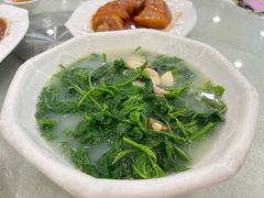 -姚林轩