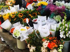 -桂林市花鸟市场