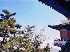 -兰山公园