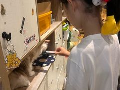 -藏猫猫咖啡主题馆(中央大道店)