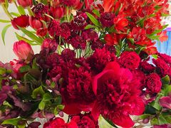 -Gucci(北京SKP店)