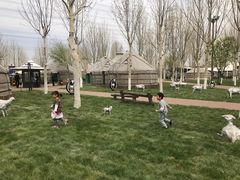 -九十九顶毡房(阜石路店)