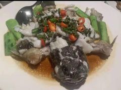 -老伙记海鲜码头(北滘店)