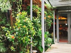 -润园四季椰子鸡火锅(海上世界店)