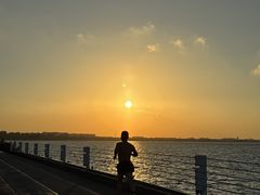 -贡湖湾湿地公园