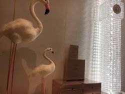 -INNEREAL英妮芮医疗美容