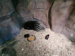 -酷嗒动物文化乐园(cutezoo西溪乐天城店)