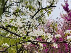 -济南国际园博园