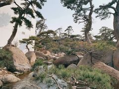 -罗红摄影艺术馆