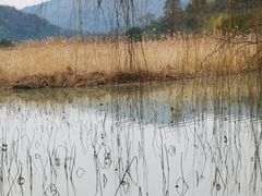 -南北湖风景区