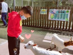 -太阳岛度假酒店