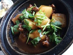 -OLD TREE老树咖啡·西餐厅(台山人工湖店)