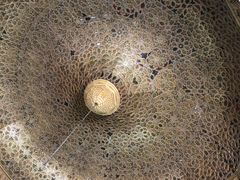 -巴尔多国家博物馆