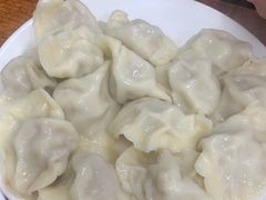 -启子大馅饺子