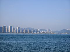 -星光岛
