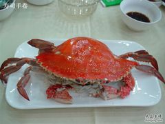 张牙舞爪-海岛渔村大酒店(云霄路店)